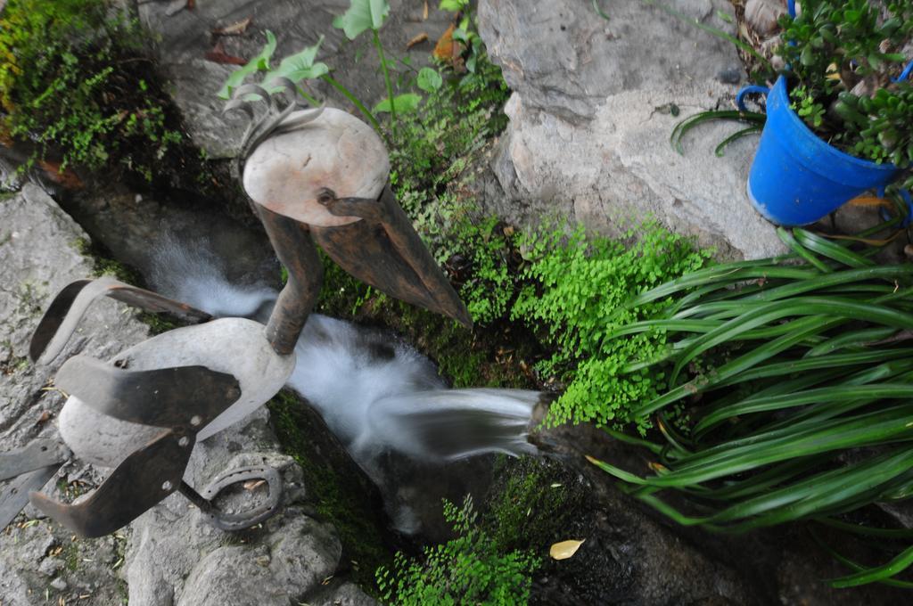 Alojamiento Rural El Brazal Villa Lanjaron Luaran gambar